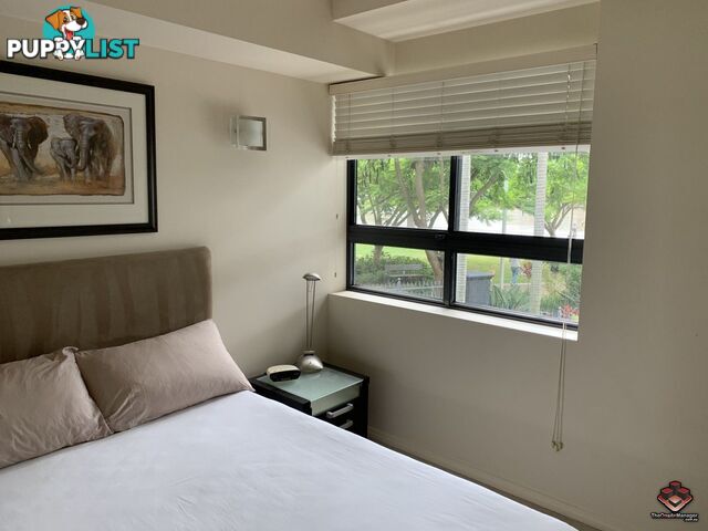 ID:3723728 1 Holman Street KANGAROO POINT QLD 4169