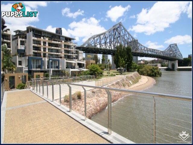 ID:3723728 1 Holman Street KANGAROO POINT QLD 4169