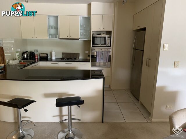 ID:3723728 1 Holman Street KANGAROO POINT QLD 4169