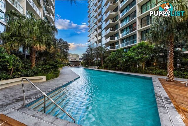 1203/24 Stratton Street Newstead QLD 4006