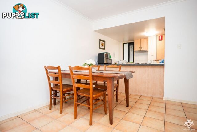 50/45 Barrett Street Robertson QLD 4109