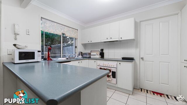 ID:21158559 8 Gemview Street Calamvale QLD 4116