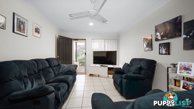 ID:21158559 8 Gemview Street Calamvale QLD 4116
