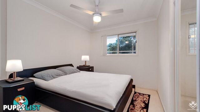 ID:21158559 8 Gemview Street Calamvale QLD 4116