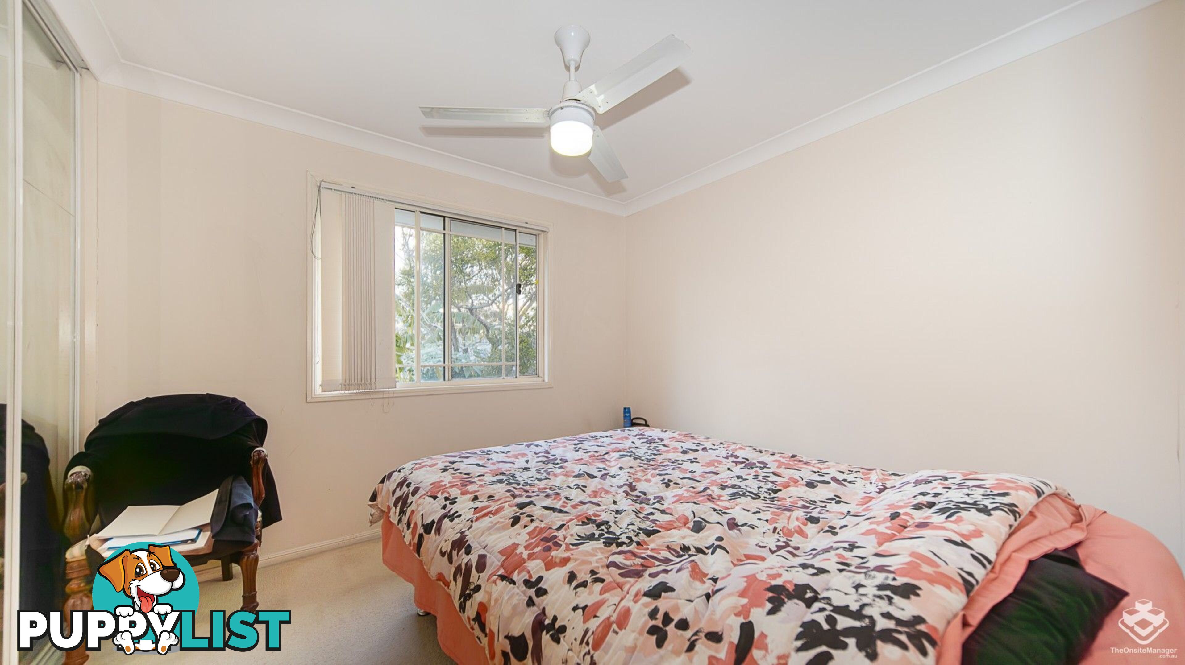 ID:21158559 8 Gemview Street Calamvale QLD 4116