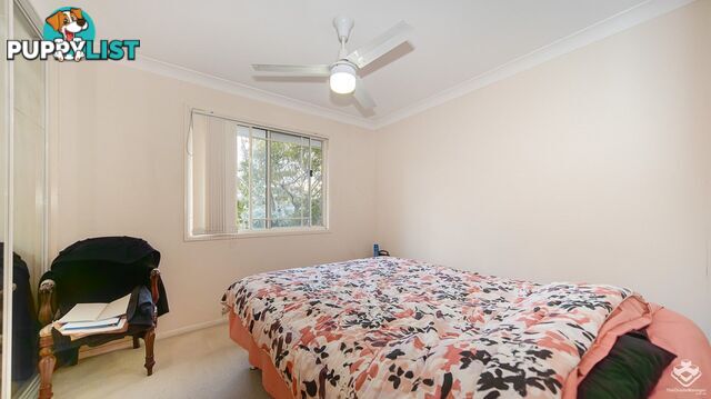 ID:21158559 8 Gemview Street Calamvale QLD 4116