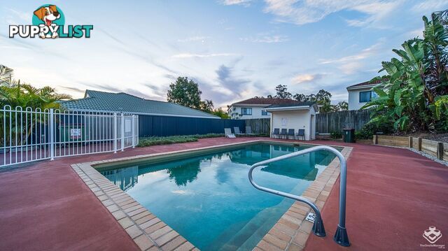ID:21158559 8 Gemview Street Calamvale QLD 4116