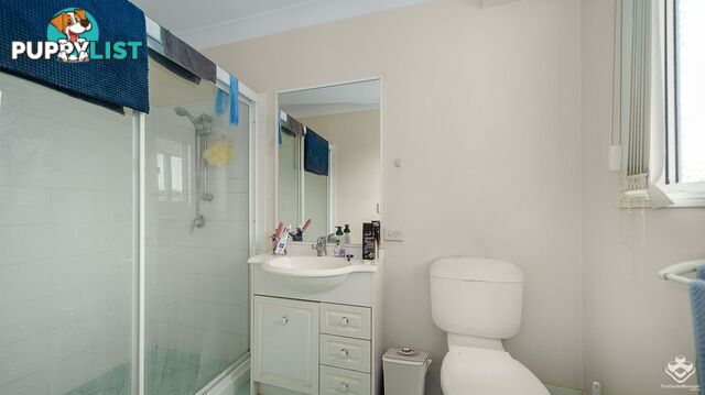 ID:21158559 8 Gemview Street Calamvale QLD 4116