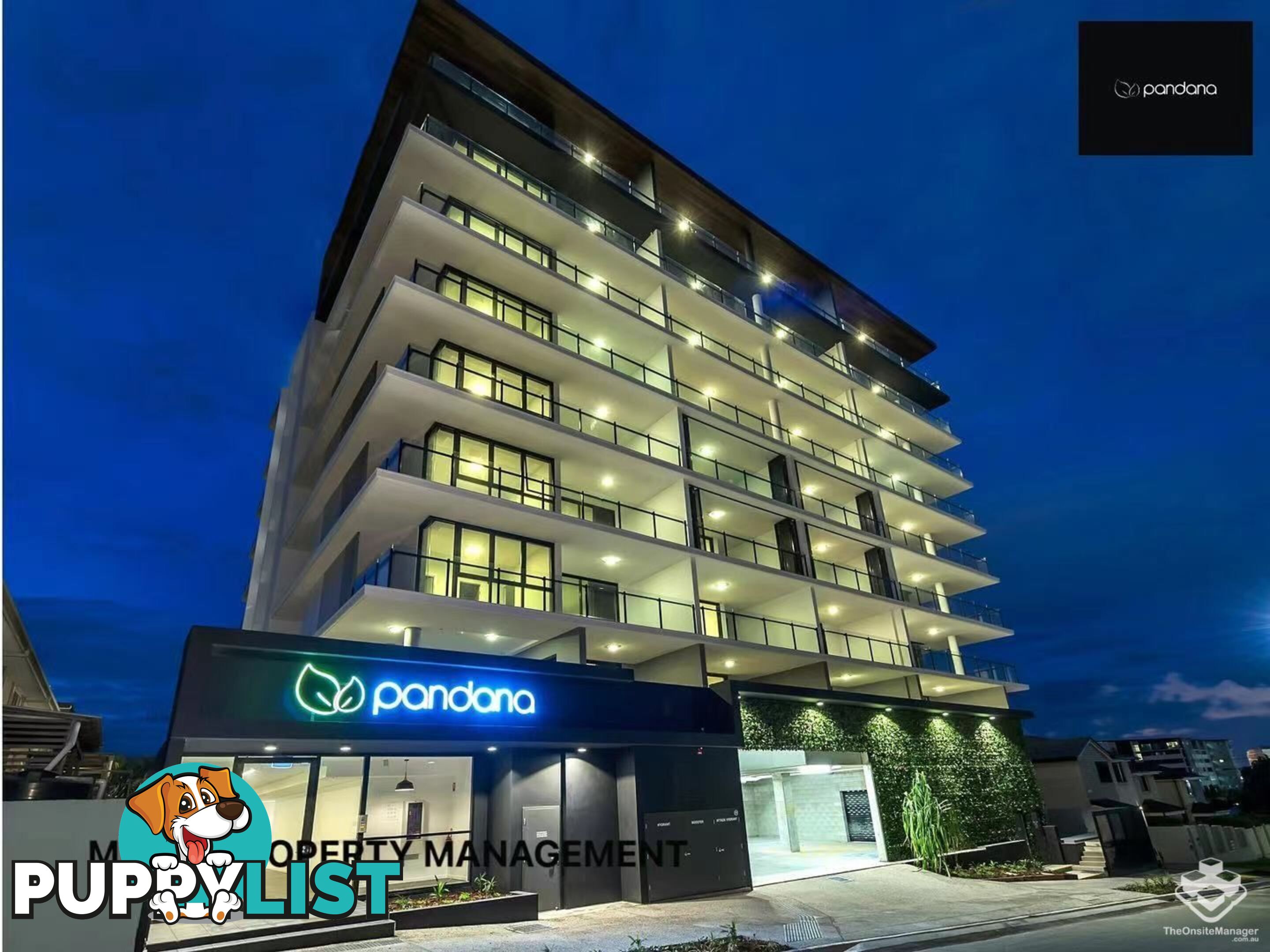ID:21079825 59 Latham St Chermside QLD 4032