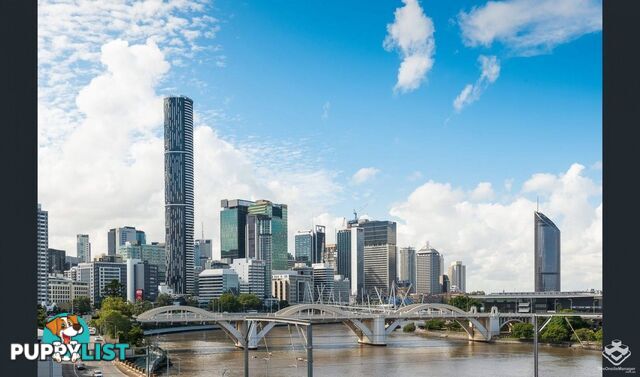 ID:21135337 6 Exford Street Brisbane City QLD 4000