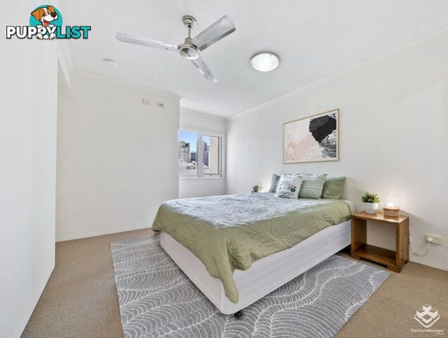 ID:21135337 6 Exford Street Brisbane City QLD 4000