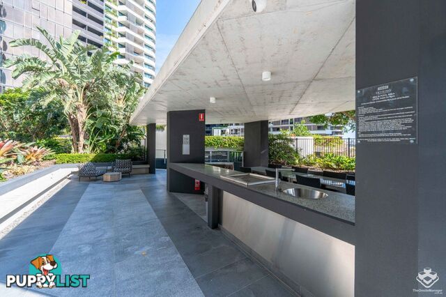 1110/30 Festival Place Newstead QLD 4006