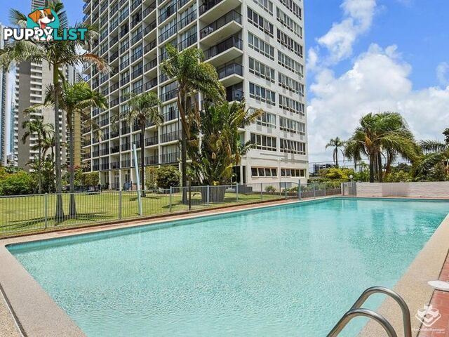 ID:21138716/2 Riverview Parade Surfers Paradise QLD 4217