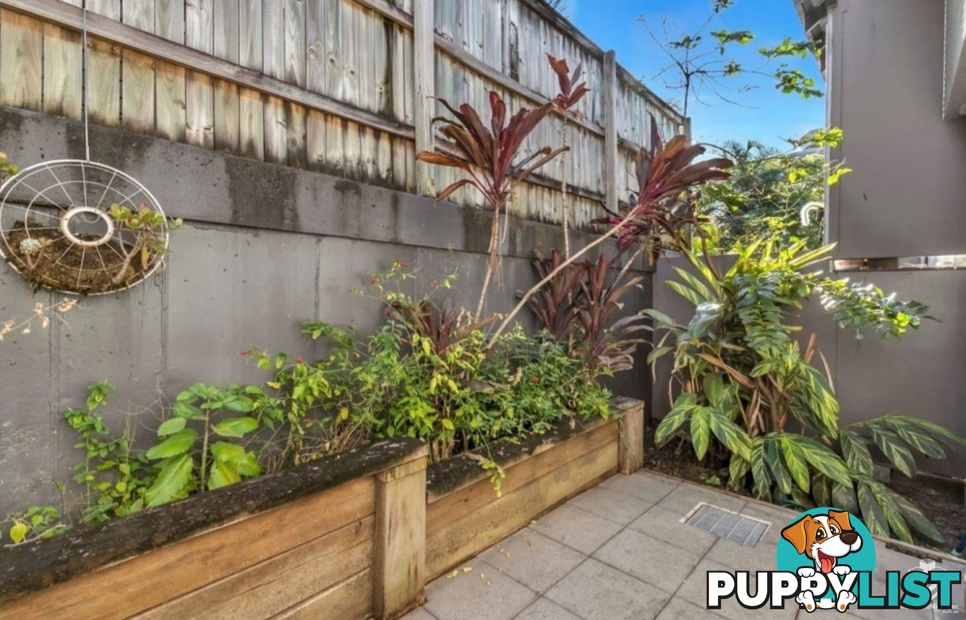 ID:21158919 40 Macdonnell Street Toowong QLD 4066