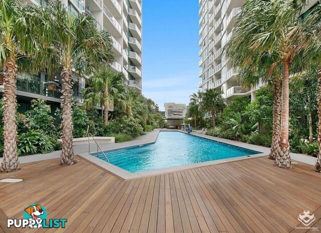 31207/24 Stratton Street Newstead QLD 4006