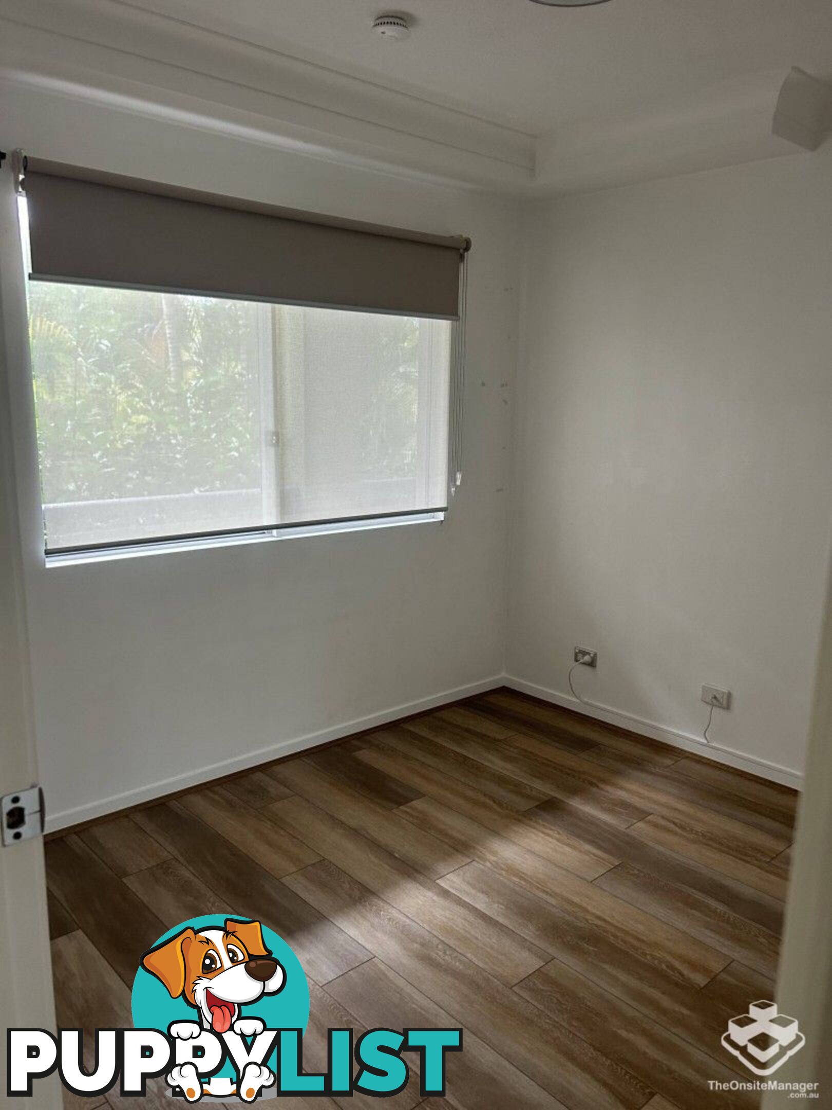 ID:21113550/33 Clark Street Biggera Waters QLD 4216