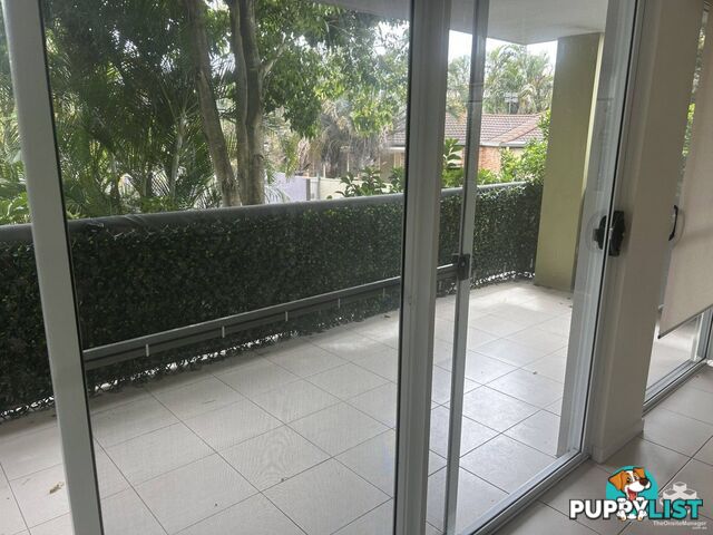 ID:21113550/33 Clark Street Biggera Waters QLD 4216