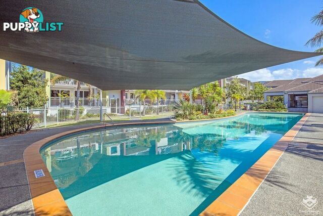 ID:21113550/33 Clark Street Biggera Waters QLD 4216