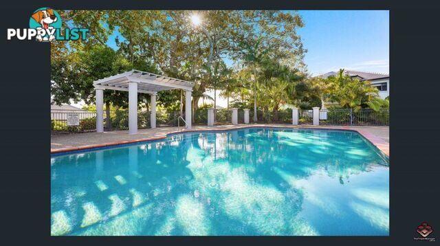 ID:21113550/33 Clark Street Biggera Waters QLD 4216