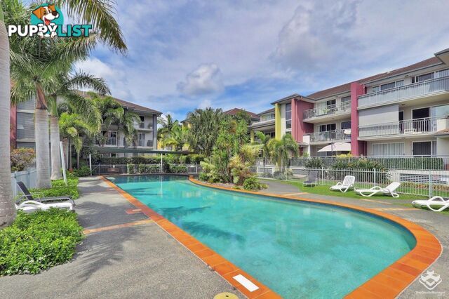 ID:21113550/33 Clark Street Biggera Waters QLD 4216