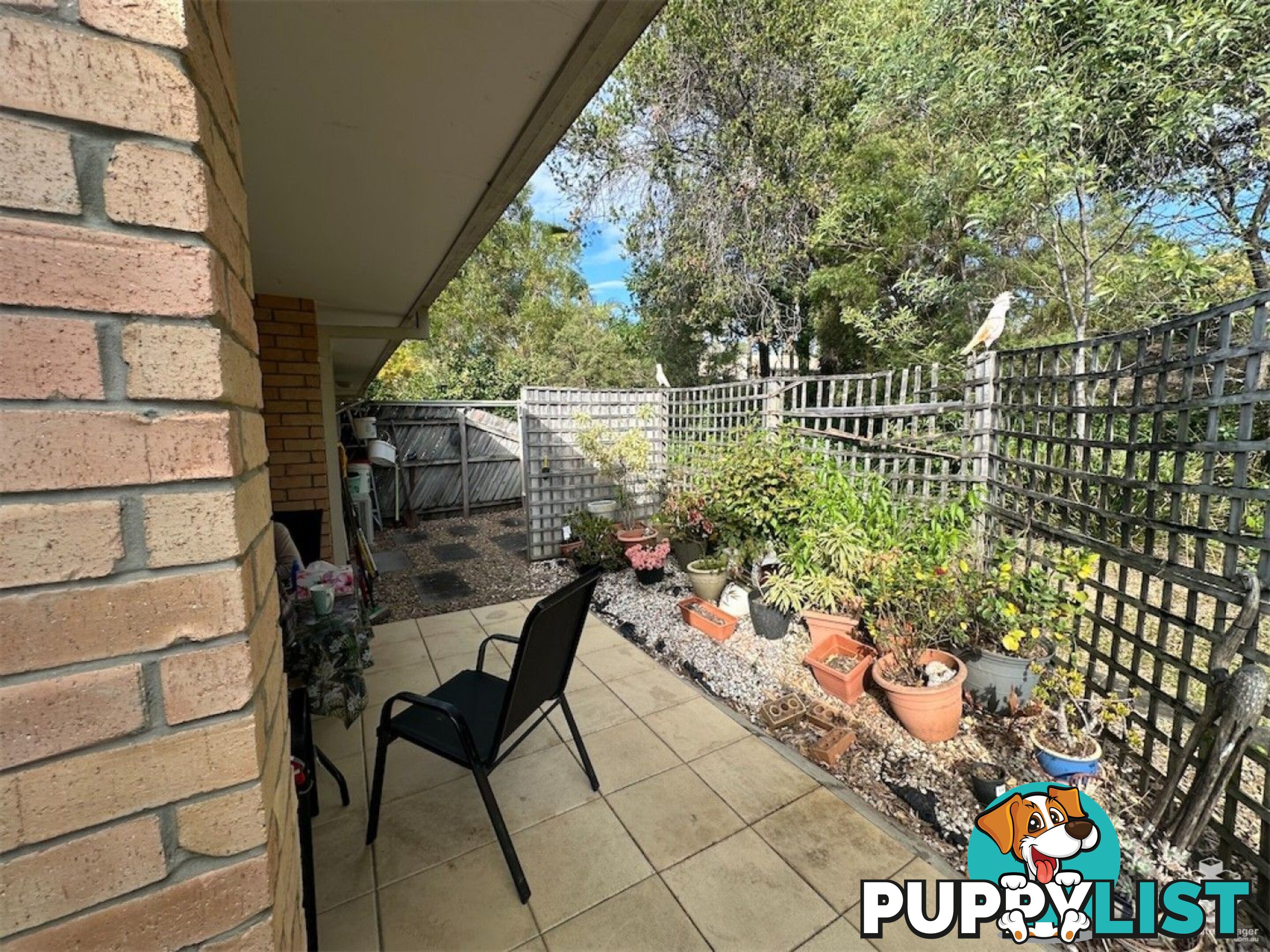 33 Edmund Rice Drive Southport QLD 4215