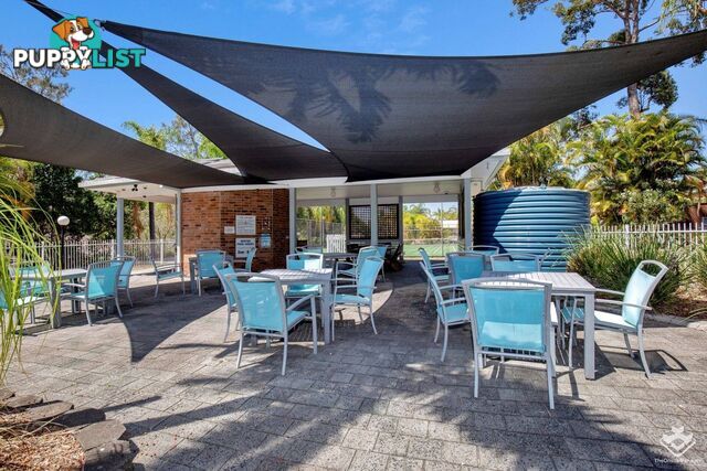 33 Edmund Rice Drive Southport QLD 4215