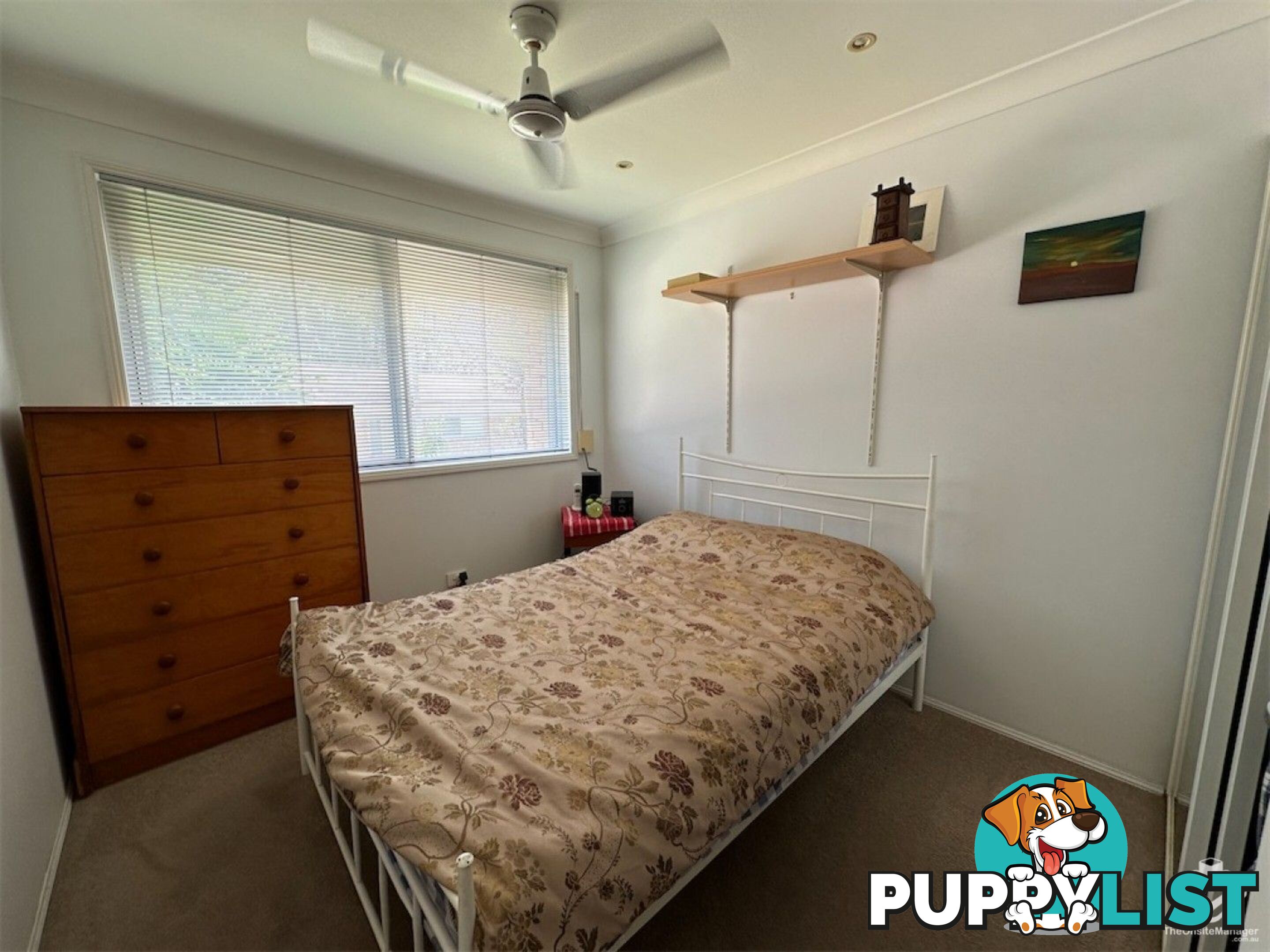 33 Edmund Rice Drive Southport QLD 4215