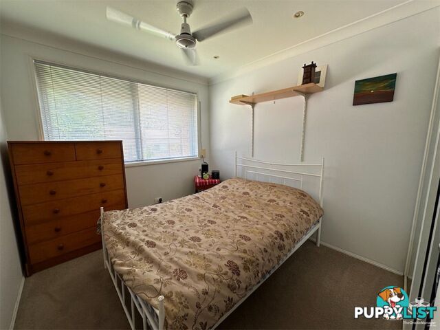 33 Edmund Rice Drive Southport QLD 4215
