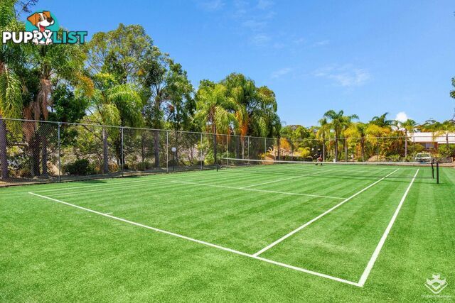 33 Edmund Rice Drive Southport QLD 4215