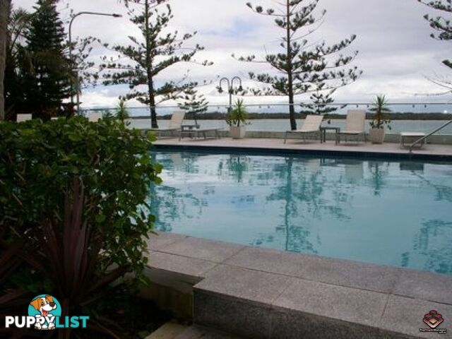 430 Marine Parade Biggera Waters QLD 4216