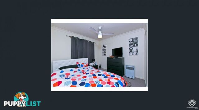 ID:21147293 136 Princess Street Cleveland QLD 4163