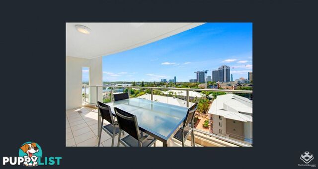 ID:21137201/ 21-31 Cypress Avenue Surfers Paradise QLD 4217