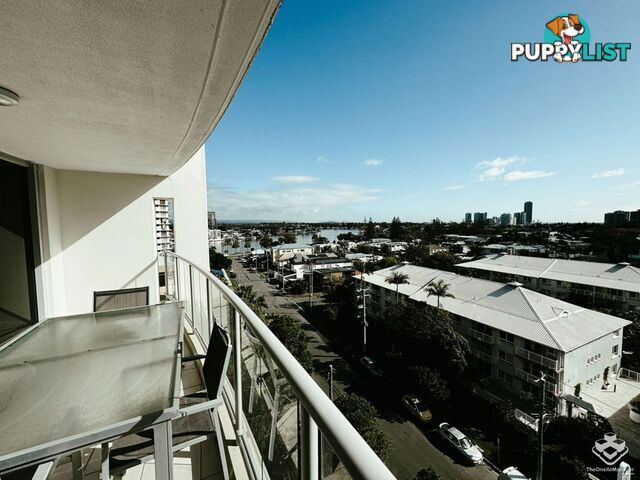 ID:21137201/ 21-31 Cypress Avenue Surfers Paradise QLD 4217