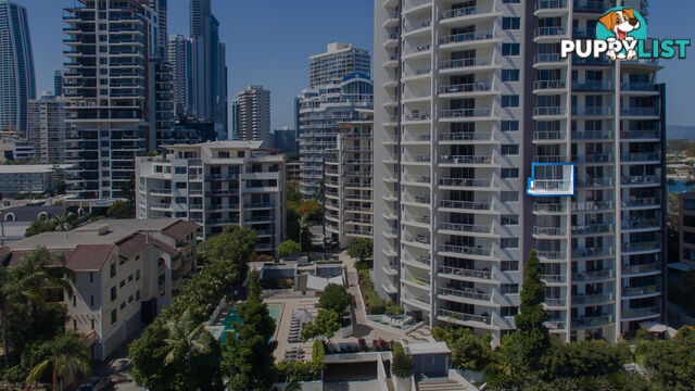 ID:21137201/ 21-31 Cypress Avenue Surfers Paradise QLD 4217