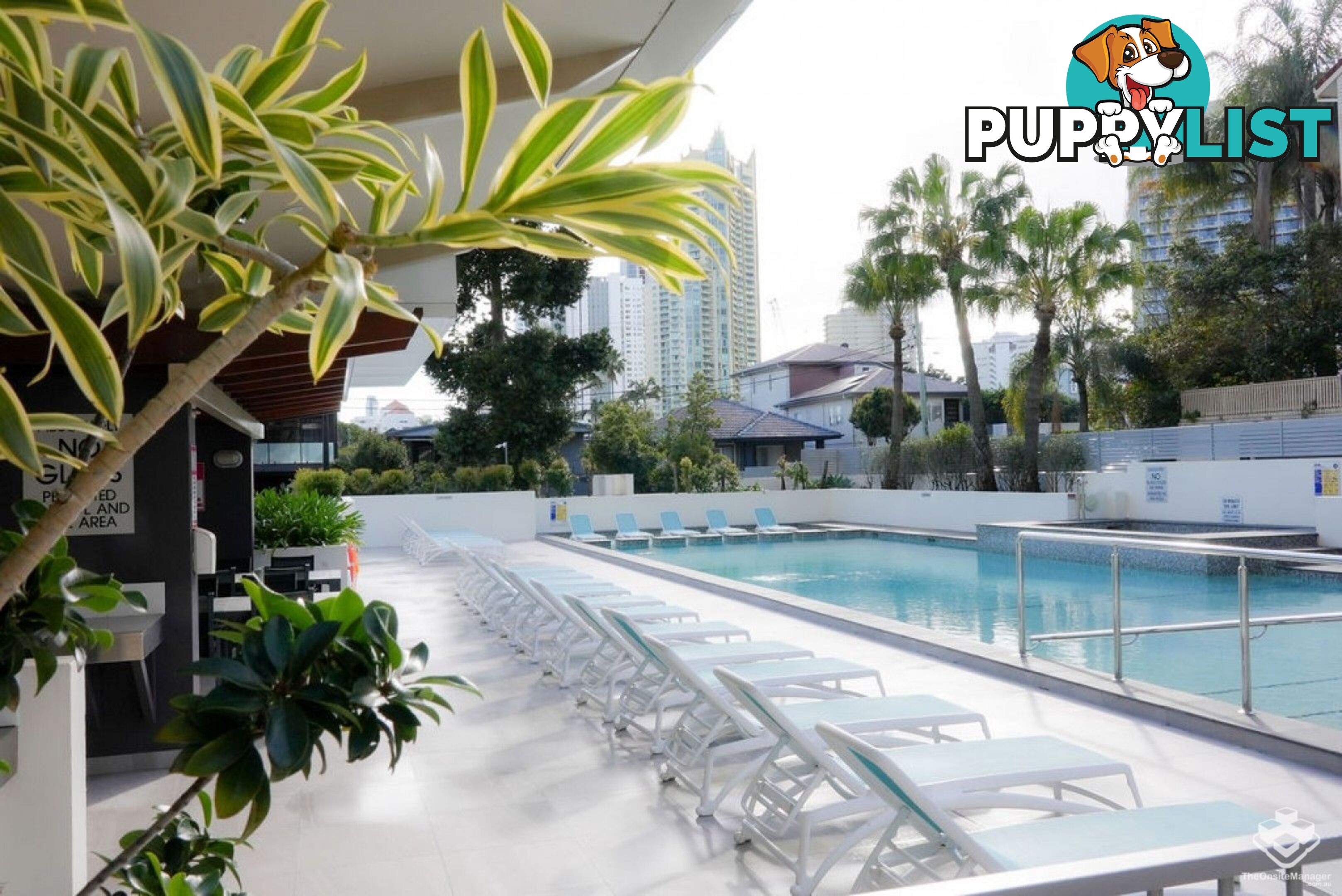 ID:21137201/ 21-31 Cypress Avenue Surfers Paradise QLD 4217