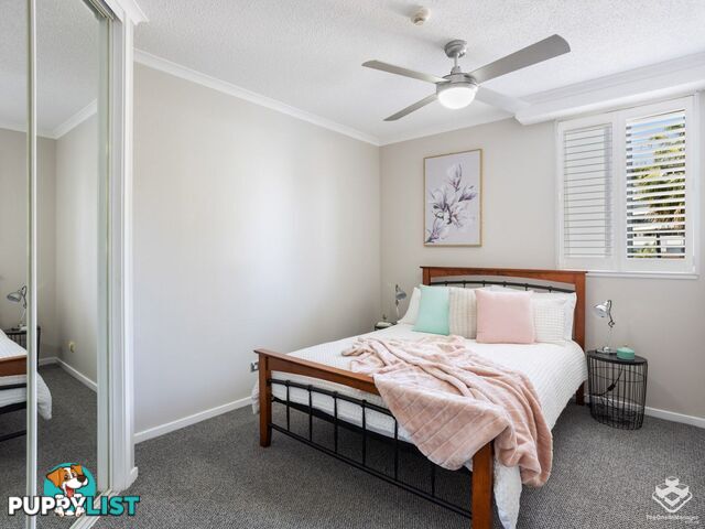 ID:21135833/98 Holman Street Kangaroo Point QLD 4169