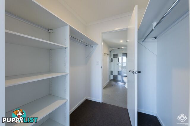 ID:21157651 35 Alice Street Kedron QLD 4031