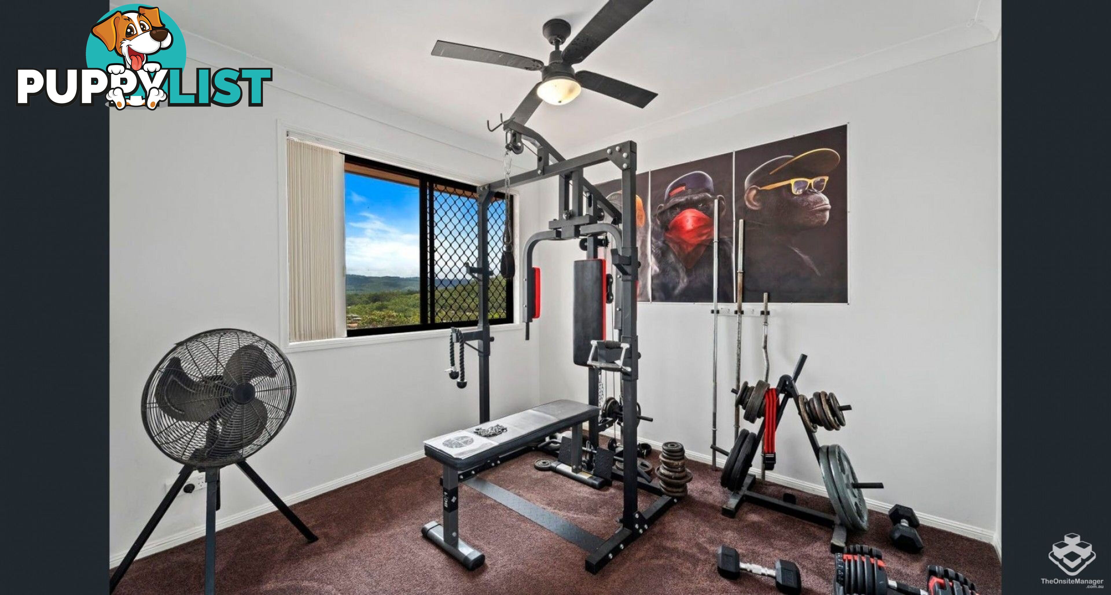 ID:21156866 6 Crestridge Crescent Oxenford QLD 4210