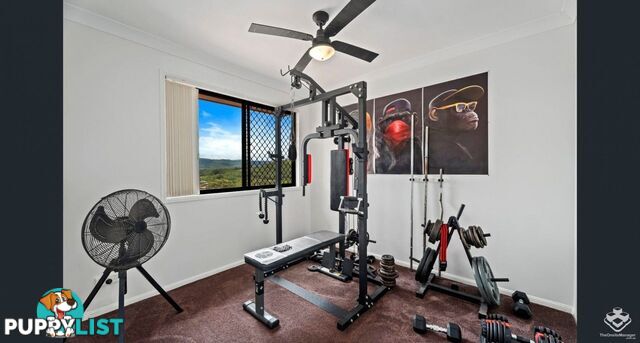 ID:21156866 6 Crestridge Crescent Oxenford QLD 4210