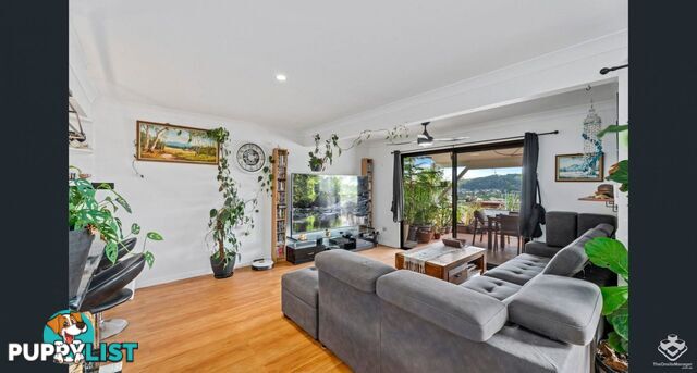ID:21156866 6 Crestridge Crescent Oxenford QLD 4210