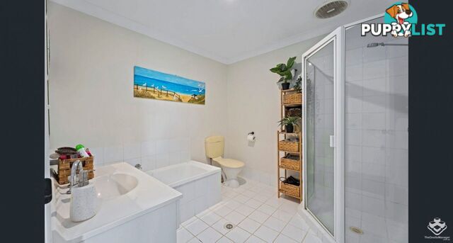 ID:21156866 6 Crestridge Crescent Oxenford QLD 4210