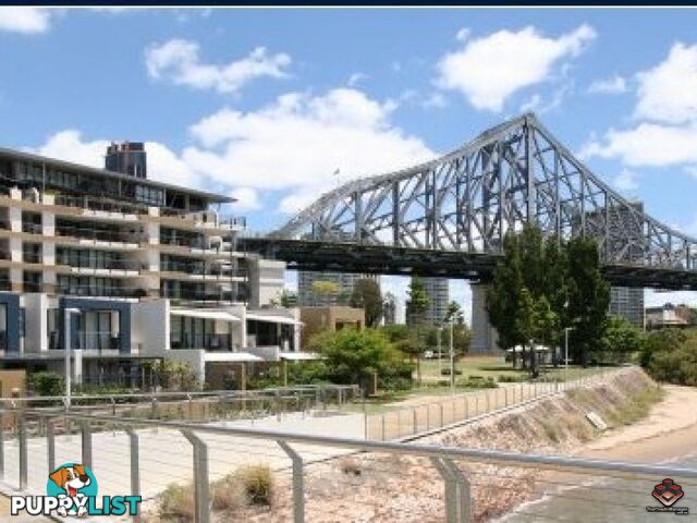 ID:3723989/1 Holman Street KANGAROO POINT QLD 4169