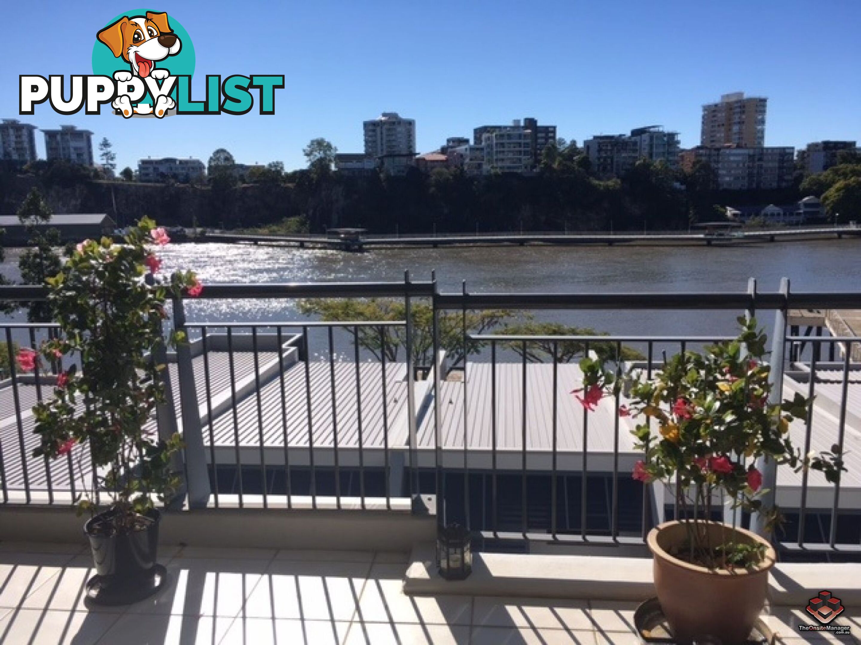 ID:3723989/1 Holman Street KANGAROO POINT QLD 4169