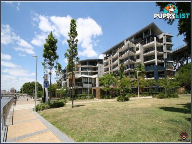 ID:3723989/1 Holman Street KANGAROO POINT QLD 4169