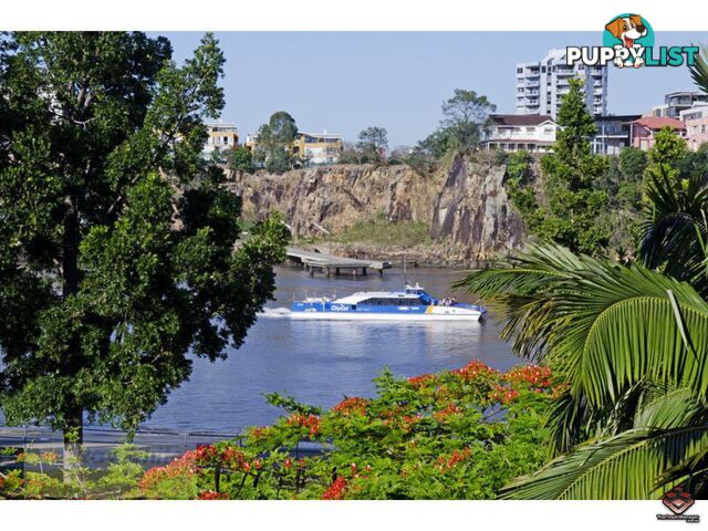 ID:3723989/1 Holman Street KANGAROO POINT QLD 4169