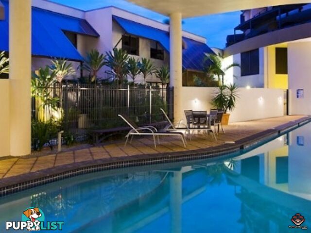 ID:3723989/1 Holman Street KANGAROO POINT QLD 4169