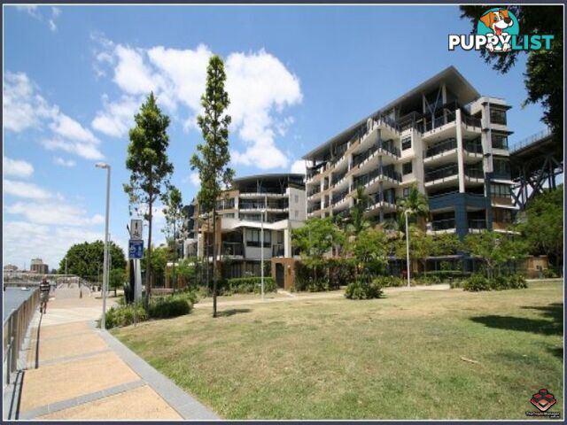 ID:3723989/1 Holman Street KANGAROO POINT QLD 4169