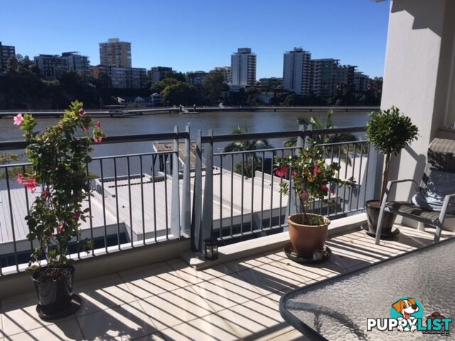 ID:3723989/1 Holman Street KANGAROO POINT QLD 4169