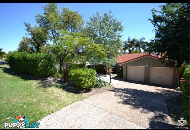 23 Edgeworth Place Helensvale QLD 4212