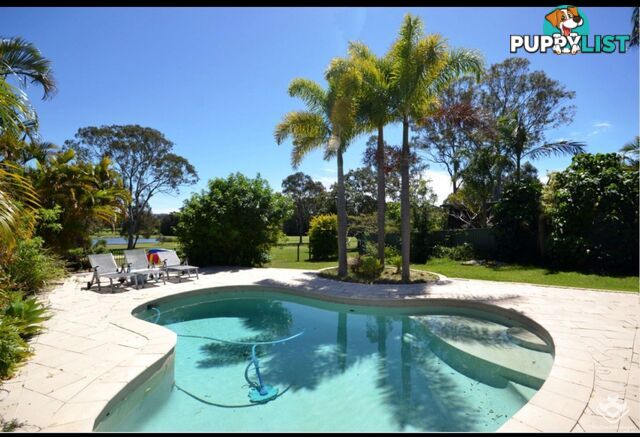 23 Edgeworth Place Helensvale QLD 4212